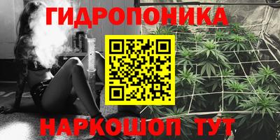 гидра Кулебаки