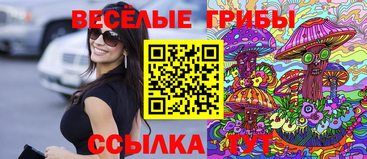 сколько стоит  Галлюциногенные грибы Cubensis  Вход с VPN  Гусиноозёрск 